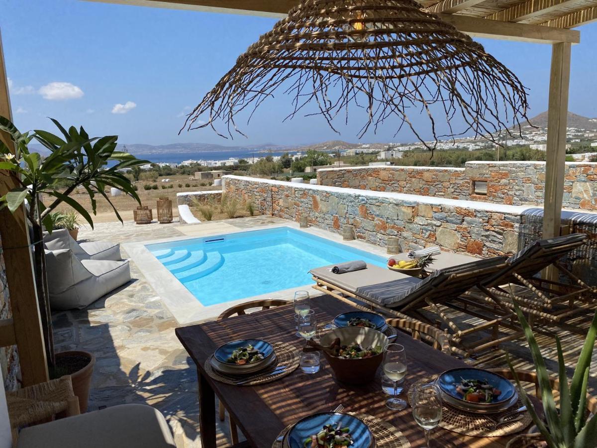Villa Ypsilon Naxos - Luxury Holiday House With Amazing Sea View & Private Pool Agia Anna  Exterior foto