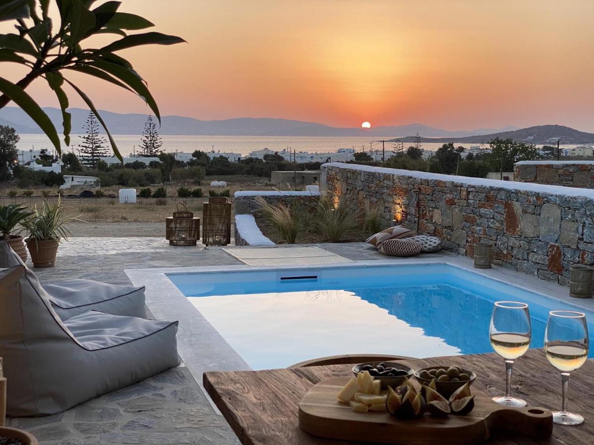 Villa Ypsilon Naxos - Luxury Holiday House With Amazing Sea View & Private Pool Agia Anna  Exterior foto